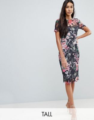Paper Dolls Tall All Over Floral Printed Lace Pencil Dress